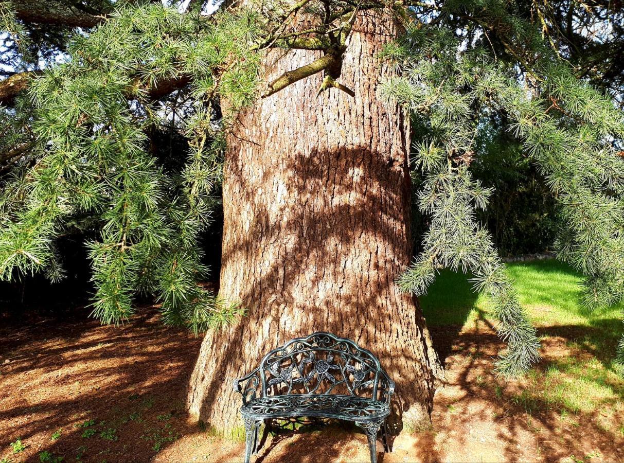 Domaine De Garat Panzió Floirac  Kültér fotó